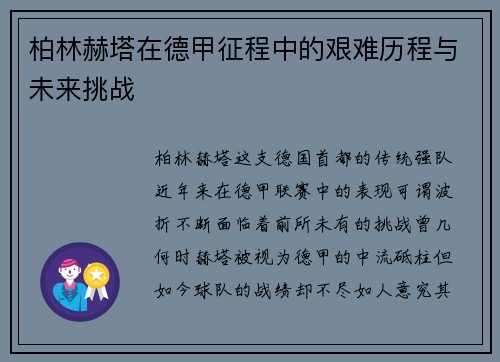 柏林赫塔在德甲征程中的艰难历程与未来挑战